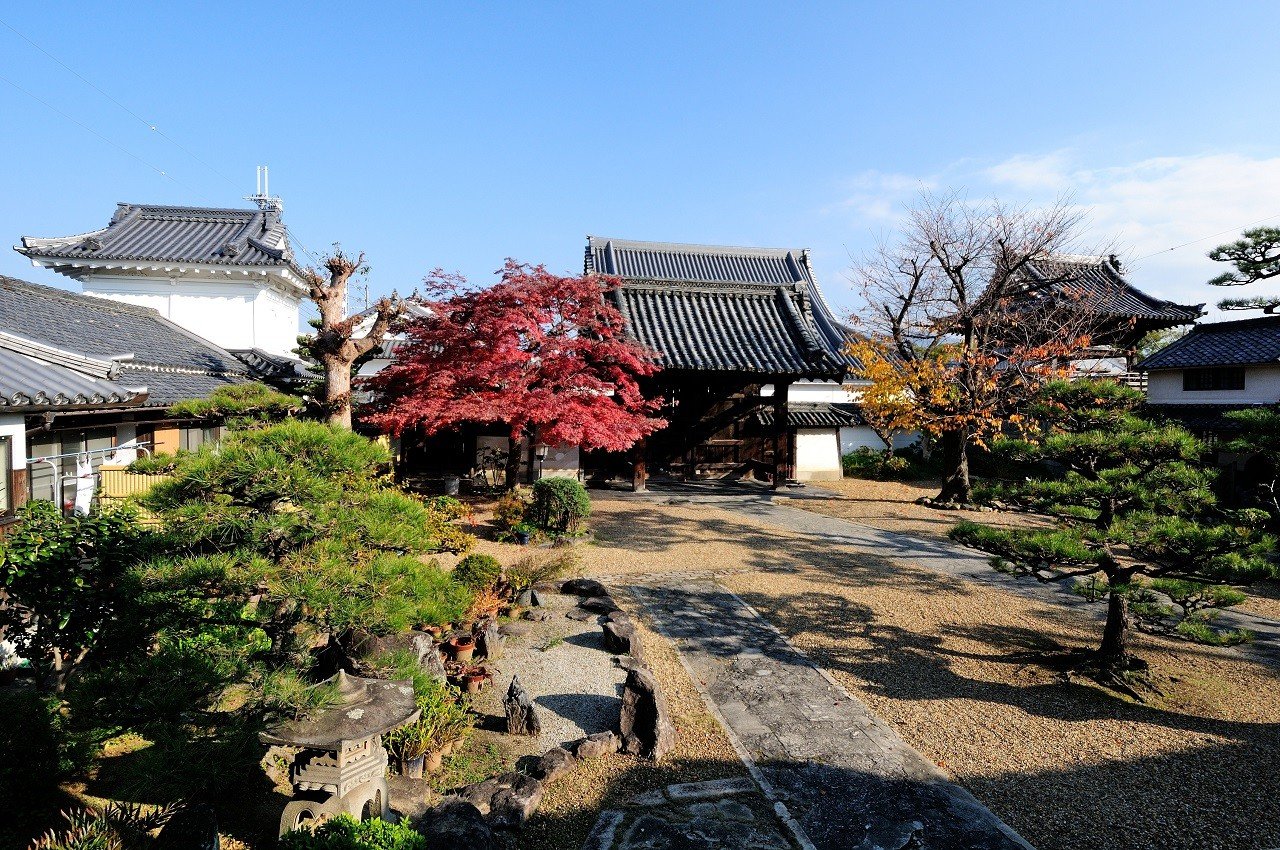 🏯 돈다바야시 고쇼지 별원 (돈다바야시 고쇼지 베쓰인)